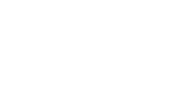 Vigia Amigo